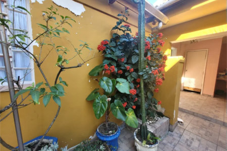 Sobrado à venda com 3 quartos, sendo 1 suíte, em Vila Hamburguesa, São Paulo, SP