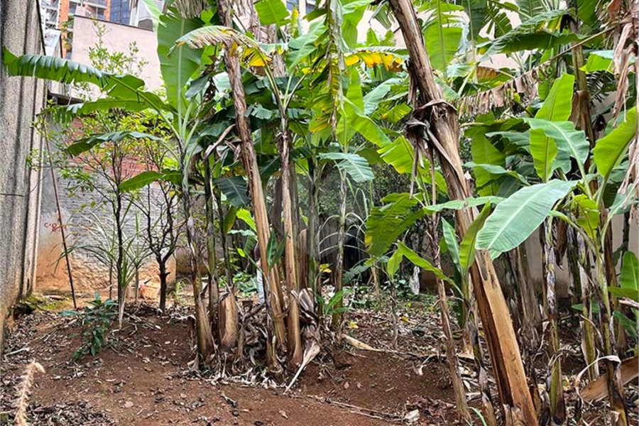 Terreno à venda em Santana, São Paulo, SP