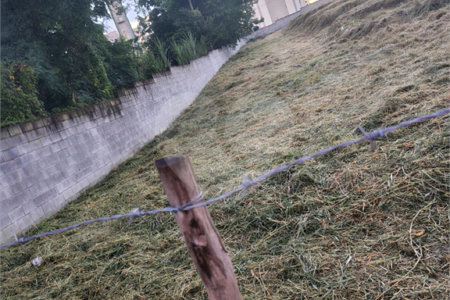 Terreno à venda em Botujuru, Mogi das Cruzes, SP