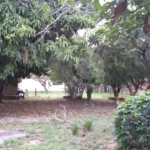 Chácara para venda no Aracê de Santo Antonio I