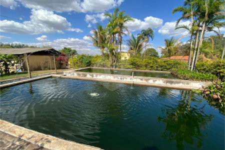 Excelente sitio para venda.