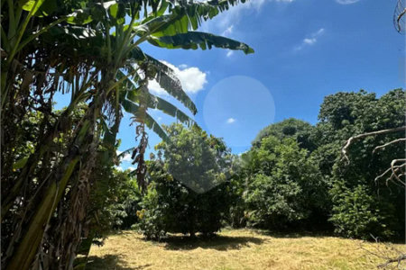 Excelente oportunidade no condomínio Vale das Laranjeiras, em Indaiatuba/SP. - R$ 1.850.000,00 - Terreno de 3.000 m²), com frente de 50 metros, proporcionando diversas possibilidades de projeto. O lote possui ótima localização dentro do condomínio, rodeado de natureza e com fácil acesso