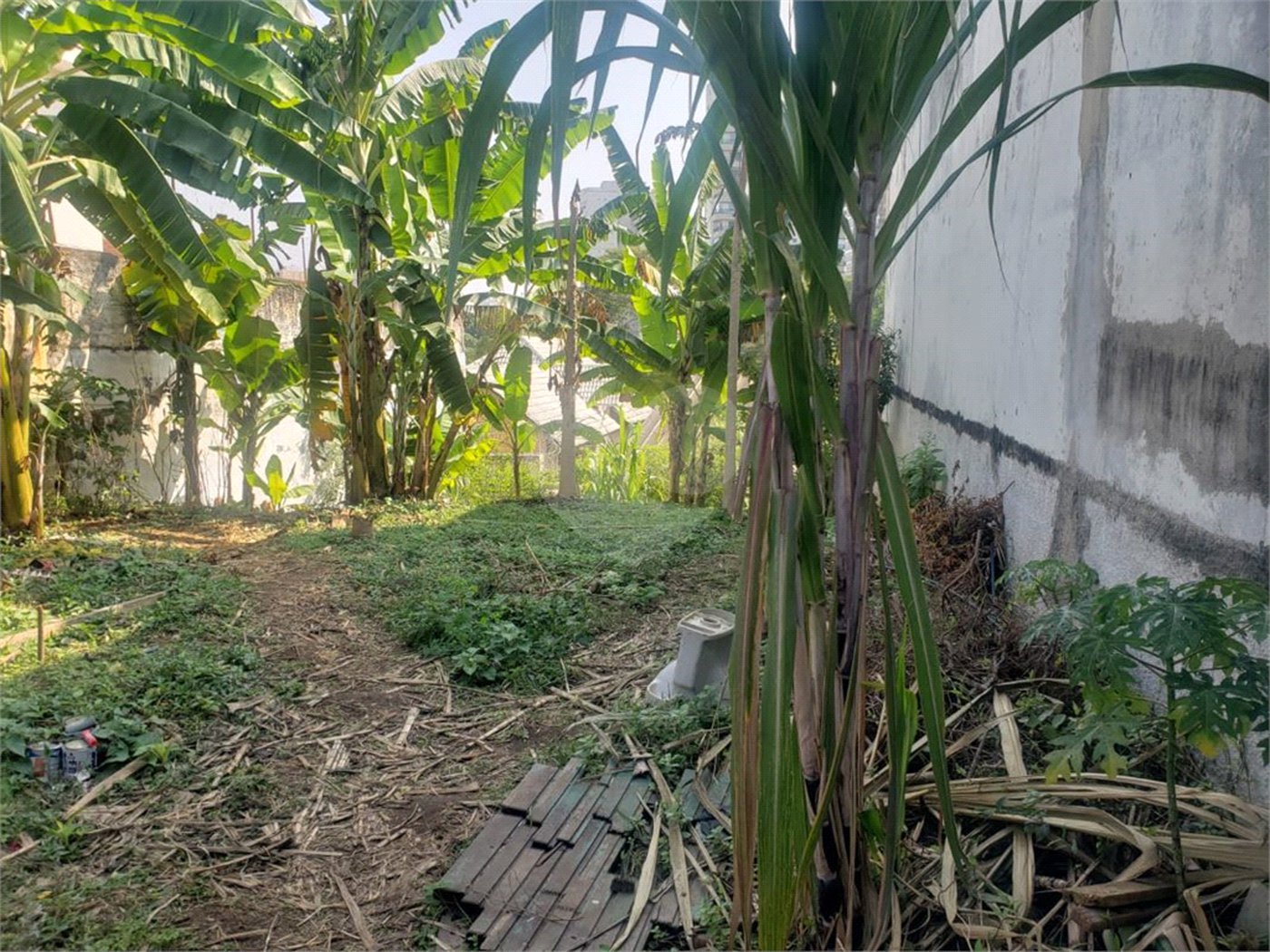 Terreno á venda com 266m ² - Bosque da Saúde