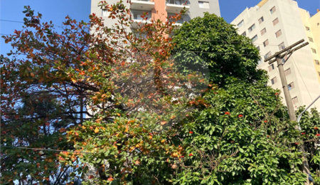 Apartamento à venda com 2 quartos em Vila Congonhas, São Paulo, SP