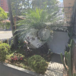 Casa com 4 dormitórios na Saúde.