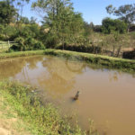 CHACARA A VENDA COM 3.190M², 2 DORMITORIOS, 2 BANHEIROS, 6 VAGAS - CHACARA SÃO JOSÉ - SÃO JOSEÉ DOS