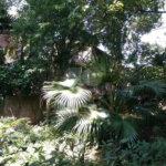 Casa térrea à venda em local tranquilo e arborizado