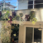 Sobrado à venda com 4 quartos, sendo 2 suítes, em Chácara Monte Alegre, São Paulo, SP