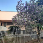 Oportunidade Única no Bairro São Dimas – Piracicaba/SP