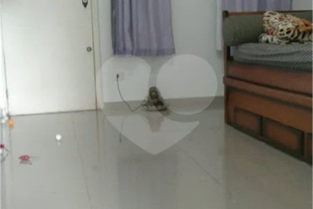 Apartamento 1 dormitório - Santa Cecilia