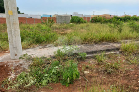 Terreno plano contendo 150,00 m² de área total.
