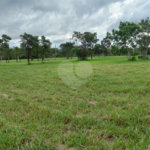 Loteamento Residencial no Condomínio Vila Pinhal do Broa