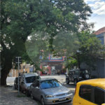 Sobrado à venda com 3 quartos em Vila Isolina Mazzei, São Paulo, SP
