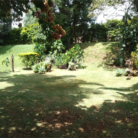 Terreno com 1.217m² A VENDA