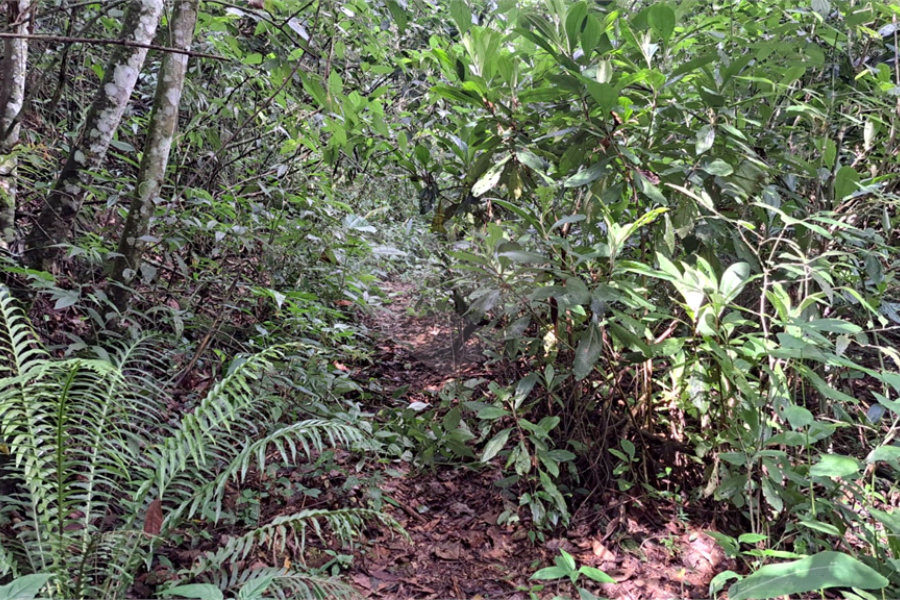 Terreno à venda no condomínio Campos de Mairiporã Gleba 1, Mairiporã - SP