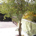 Casa à venda com 4 quartos, sendo 2 suítes,  em Horto, São Paulo, SP