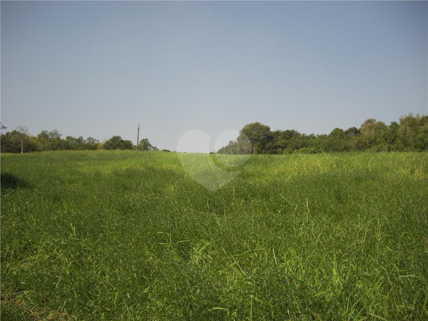 Área de Terra à venda em Porteira Preta, Mogi das Cruzes, SP