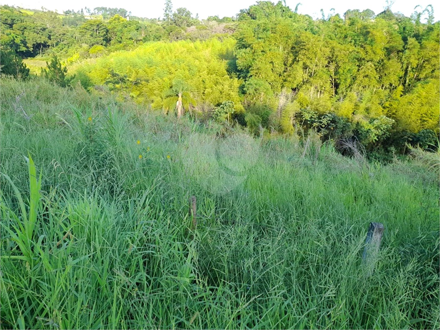 Área de Terra à venda em Três Pistas, Atibaia, SP