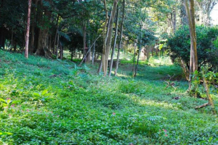 Terreno à venda no condomínio Chácara Flora, São Paulo - SP