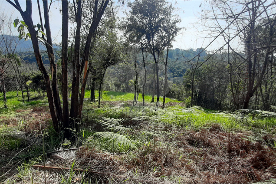 Terreno à venda em São Vicente, Mairiporã, SP