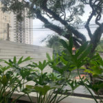 Apartamento à venda com 2 suítes em Vila Madalena, São Paulo, SP