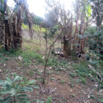 Terreno à venda ou para alugar no condomínio São Marcos, São Paulo - SP