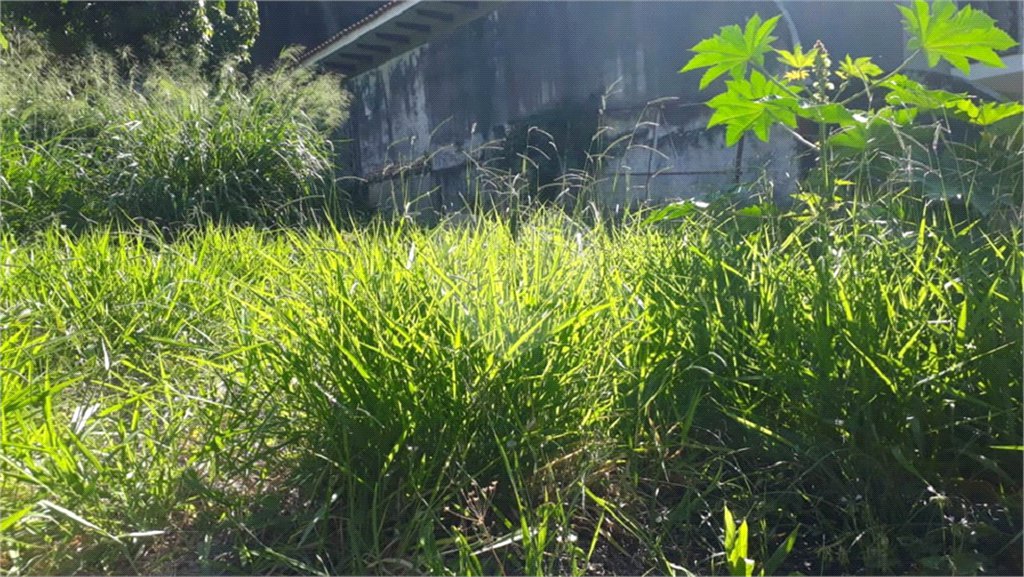 Terreno à venda em Jardim Peri, São Paulo, SP
