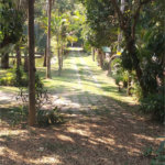 Sítio à venda com 5 quartos, sendo 2 suítes,  em Parque Recreio Dom Pedro Ii (guia de Pacobaíba), Magé, RJ