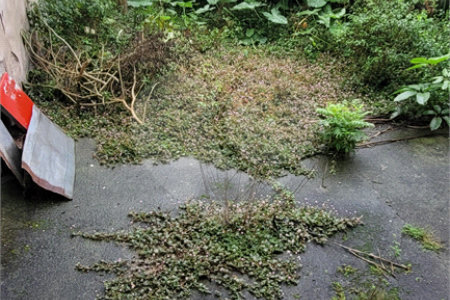 Sobrado à venda com 2 quartos em Cidade Líder, São Paulo, SP