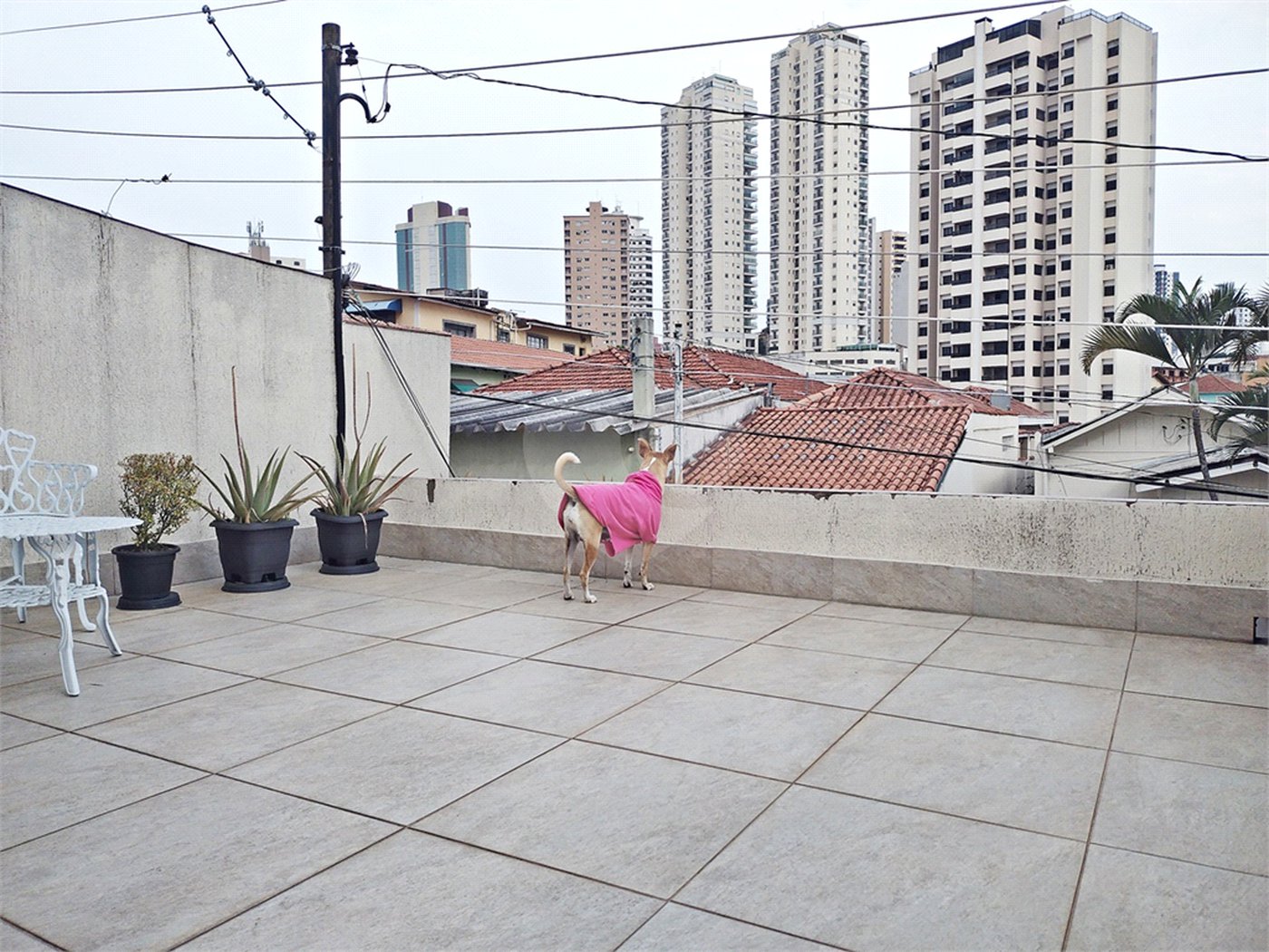 Casa à venda com 5 quartos, sendo 1 suíte, em Água Fria, São Paulo, SP