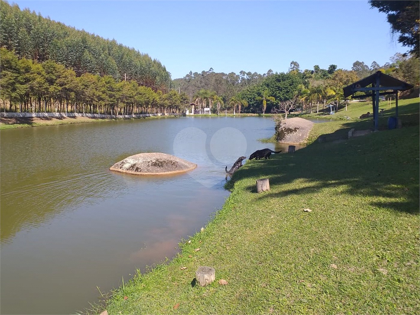 Sítio à venda com 4 quartos, sendo 1 suíte,  em Cruz das Almas, Biritiba-mirim, SP