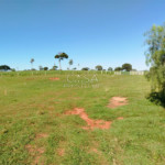 Chácara à venda com 3 quartos, sendo 1 suíte,  em Área Rural de Emilianópolis, Emilianópolis, SP