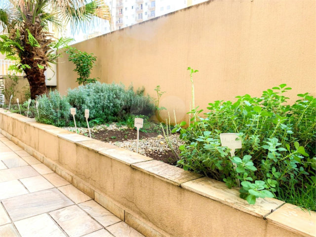 Apartamento à venda com 2 quartos, sendo 1 suíte,  em Santana, São Paulo, SP