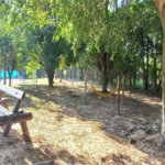 Casa à venda com 4 suítes no condomínio Terra Magna, Indaiatuba - SP