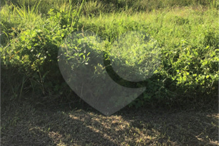 Terreno à venda no condomínio Grand Park - Terrenos e Loteamento, Rio de Janeiro - RJ