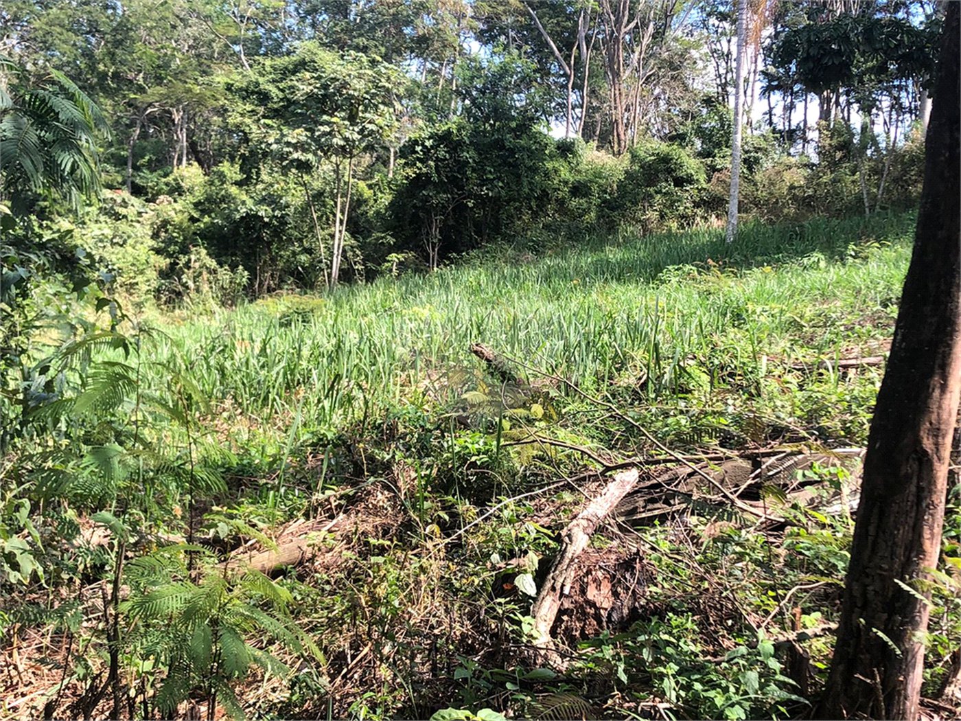 Terreno à venda no Centro, Bom Jesus dos Perdões, SP