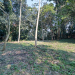 Terreno à venda com 1 quarto no condomínio Chácara Flora, São Paulo - SP
