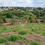 Terreno à venda em Bosque, Vinhedo, SP
