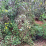 Terreno à venda no condomínio Alpes da Cantareira, Mairiporã - SP