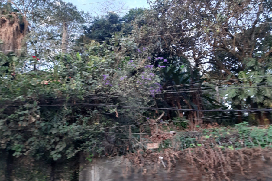 Terreno à venda em Vila Gustavo, São Paulo, SP