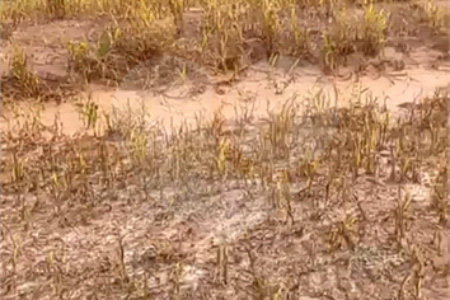 Terreno à venda no condomínio Mosaico Horizontes, Mogi das Cruzes - SP