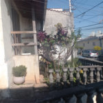 Casa Térrea à venda com 3 quartos em Mandaqui, São Paulo, SP