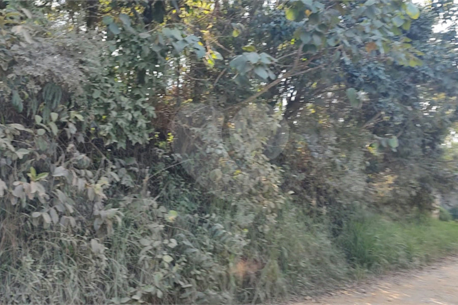 Terreno à venda em Luiz Fagundes, Mairiporã, SP