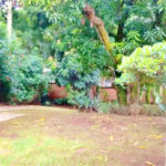 Casa Térrea à venda com 3 quartos, sendo 1 suíte,  em Mandaqui, São Paulo, SP