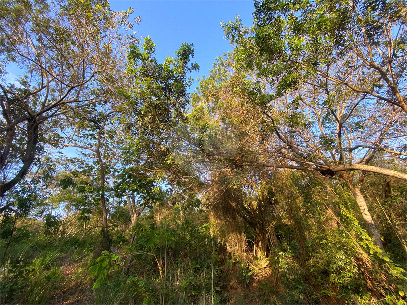 Terreno à venda em Albatroz, Armação dos Búzios, RJ