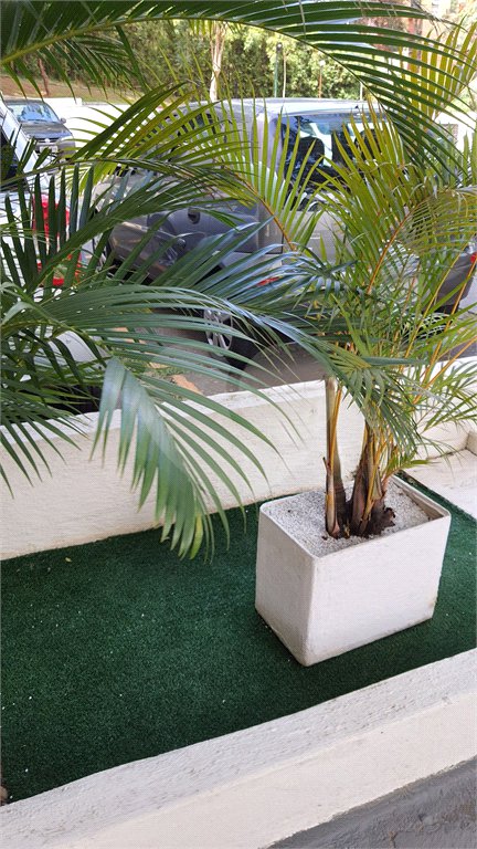 Apartamento à venda com 2 quartos em Mandaqui, São Paulo, SP