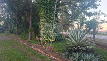 Chácara à venda com 3 quartos, sendo 1 suíte, em Ribeirãozinho, Alambari, SP