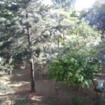 Casa para alugar com 4 quartos, sendo 2 suítes, no condomínio Palm Garden, São Paulo - SP