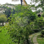 Casa à venda com 4 suítes no condomínio Espaço Natureza, São Paulo - SP