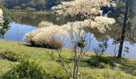 Casa à venda no condomínio Chácaras do Lago, Vinhedo - SP